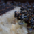 DSC06834.jpg