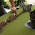 DSC09496.JPG