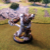 Reinblut Warpwolf II.png