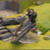 l014.jpg