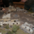 t13002.JPG