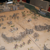 t13020.JPG